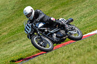 Vintage-motorcycle-club;eventdigitalimages;mallory-park;mallory-park-trackday-photographs;no-limits-trackdays;peter-wileman-photography;trackday-digital-images;trackday-photos;vmcc-festival-1000-bikes-photographs